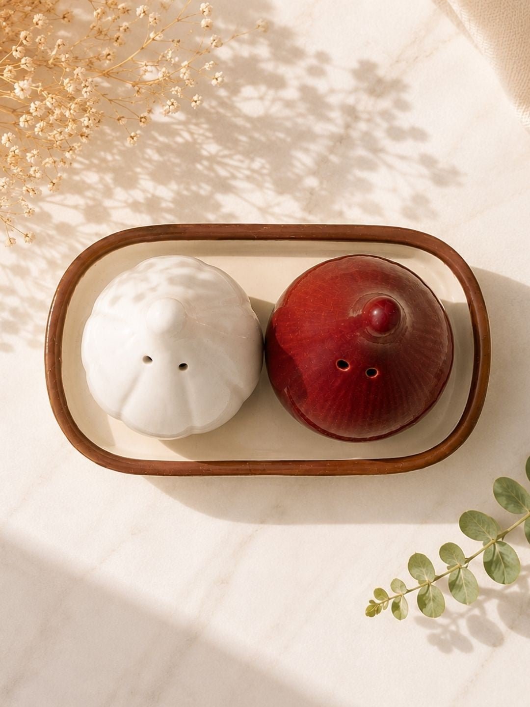 Garlic & Onion Ceramic Salt and Pepper Shaker Set with Tray | Handcrafted by CHAAK DESIGN